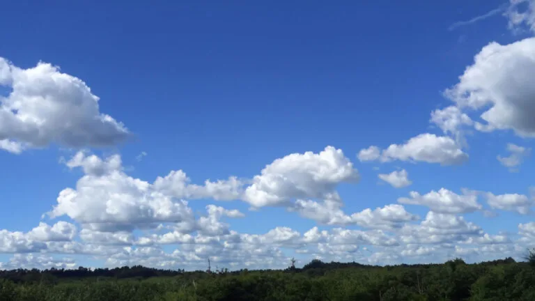 skybox