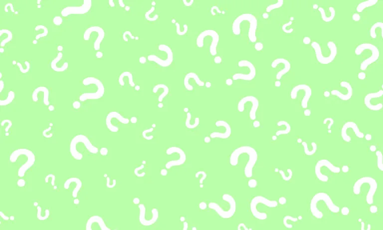 quiz